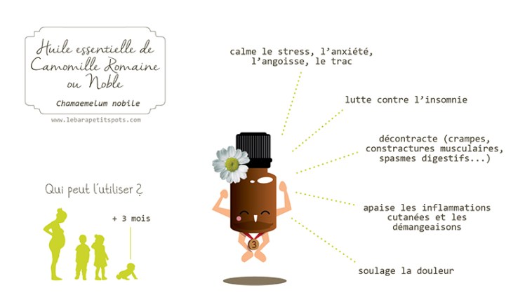 huile-essentielle-camomille-romaine.jpg