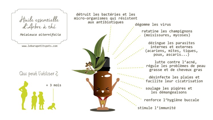 huile-essentielle-tea-tree